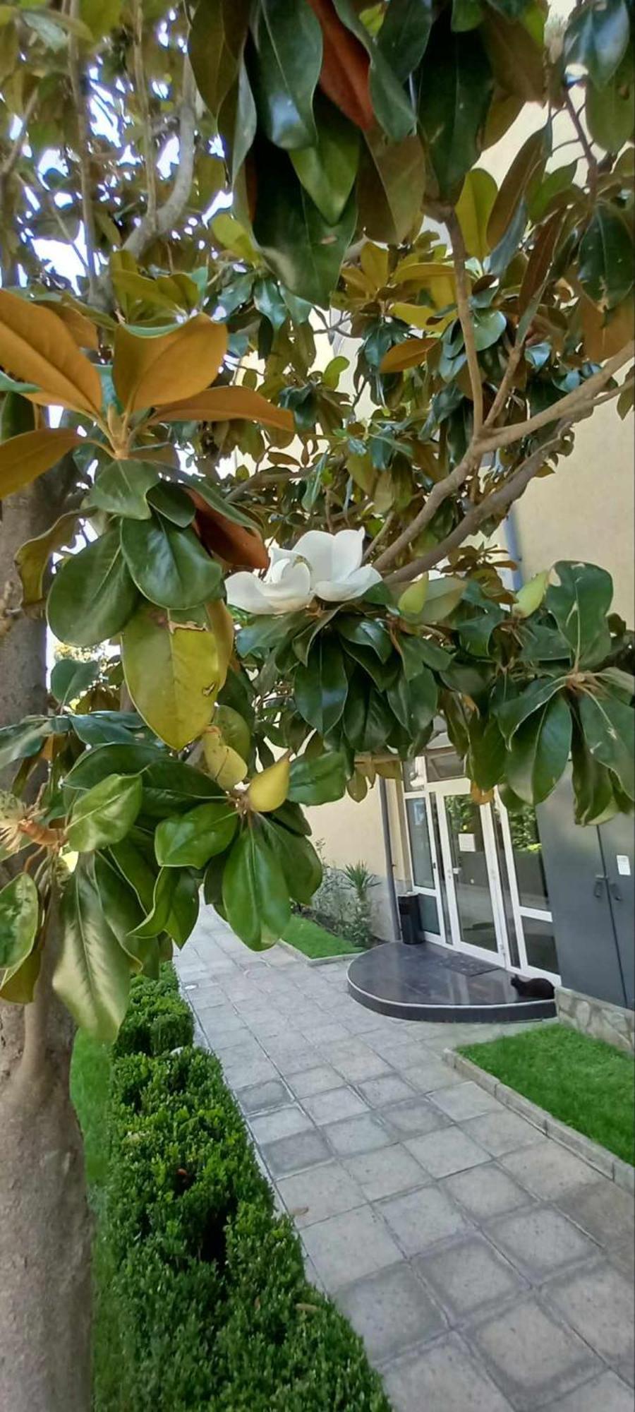 Apartamento Anelia178 Sunny Beach Exterior foto